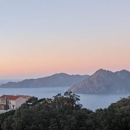 Le Porto Appart T2 Rénové 800m Immeuble En Pierre Avec Terrasse Commune Vue Barbecue